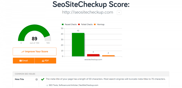 screenshot of seo site checkup overview