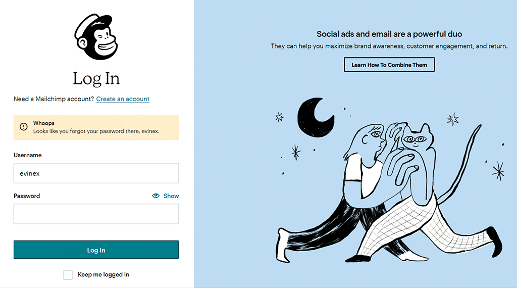 mailchimp login form showing an error when not providing your password.