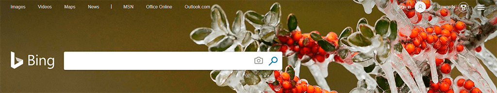 bing search page screenshot.