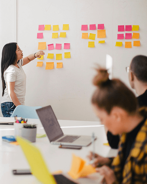 Project &Amp; Program Management project & program management